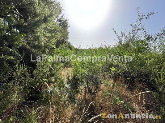 ID-457 Terreno para el cultivo, está fácil